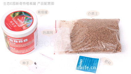 創(chuàng)意禮品 新奇特植栽罐的魅力與市場前景